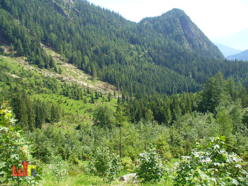 Tour Reiteralpe 2005